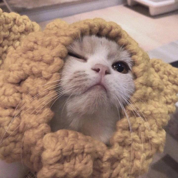 2230