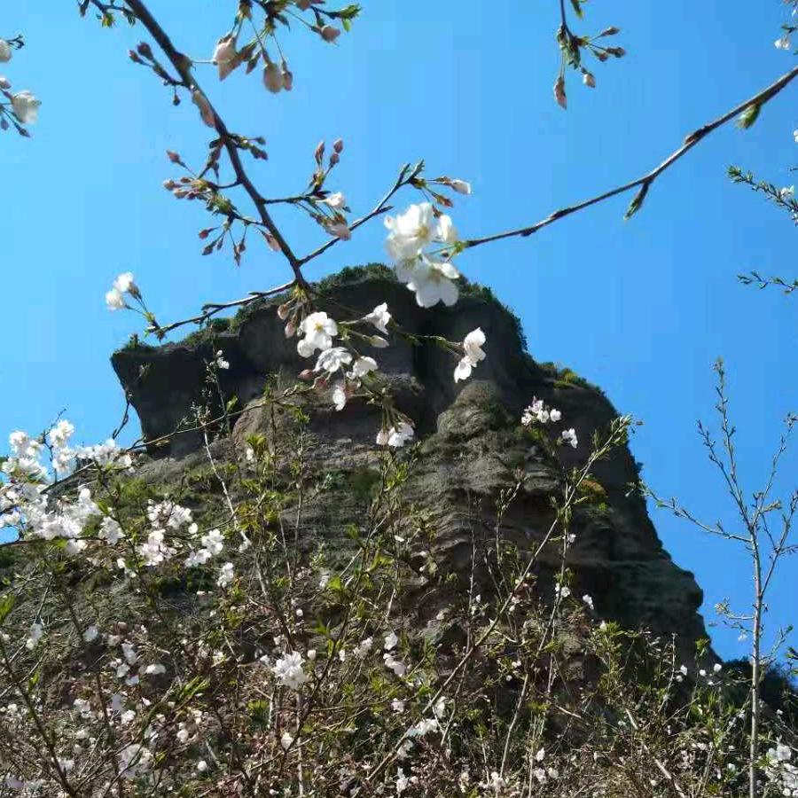 吉地建省专业理切