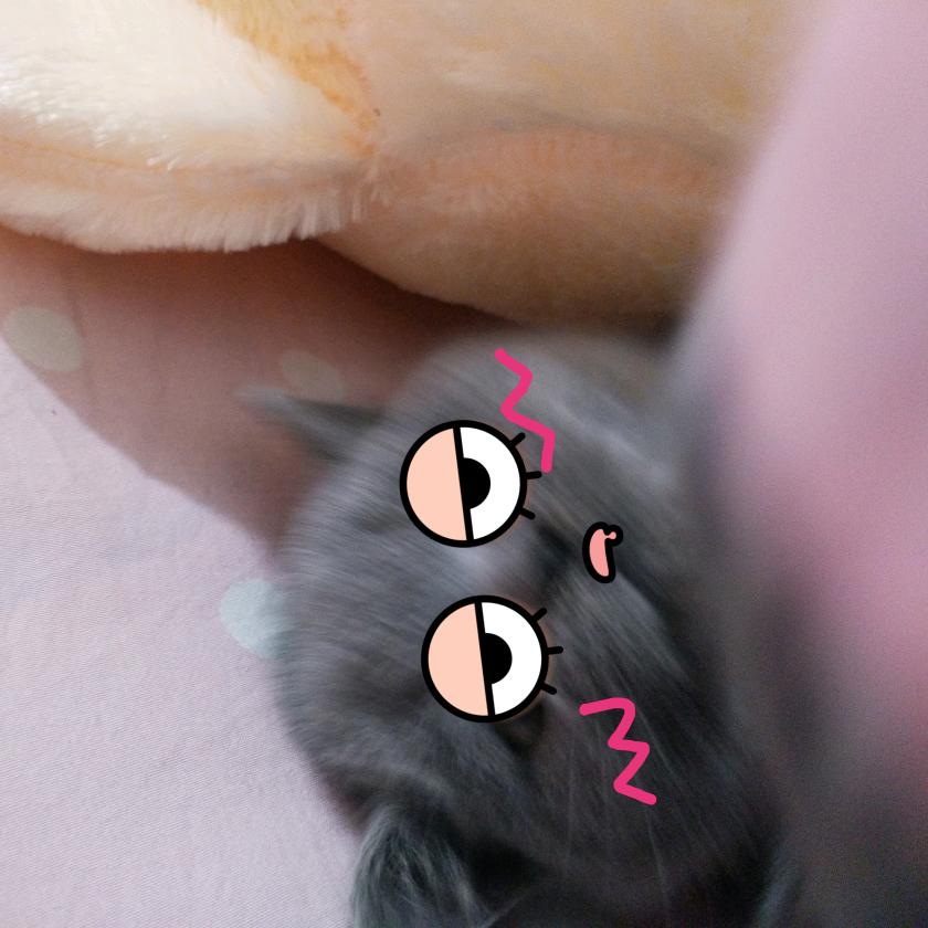 对方正在长头发