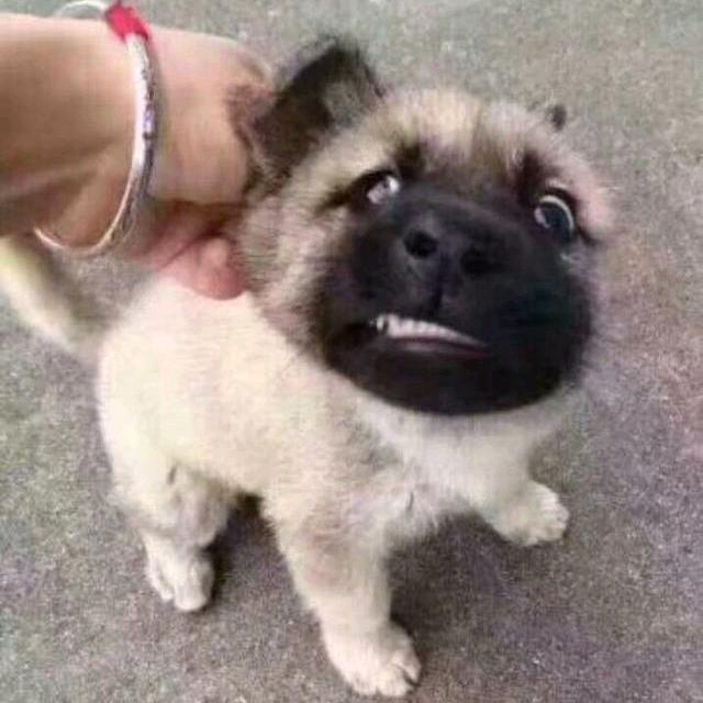 那个谁