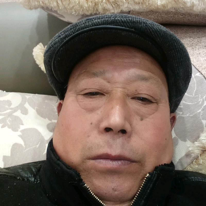 老马，马君臣