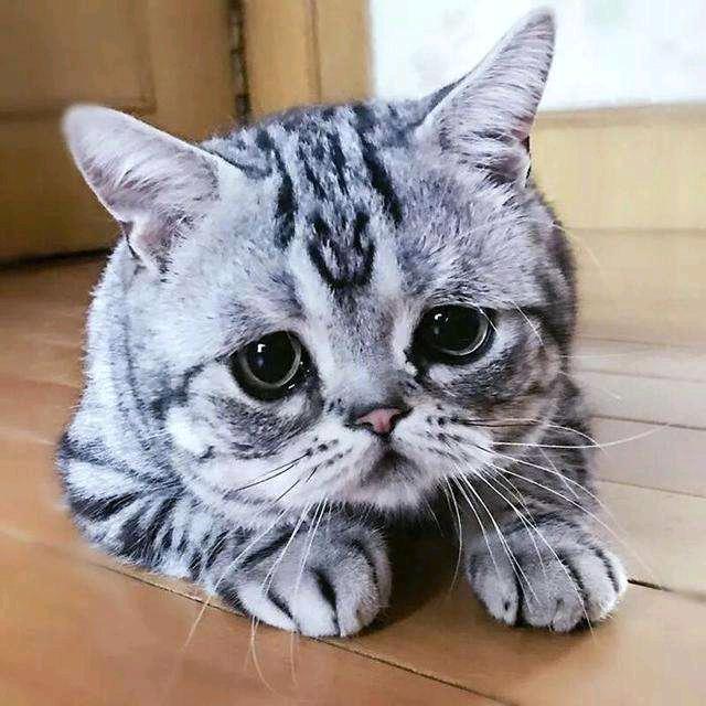 聪聪聪聪