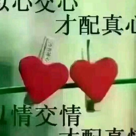 太阳花