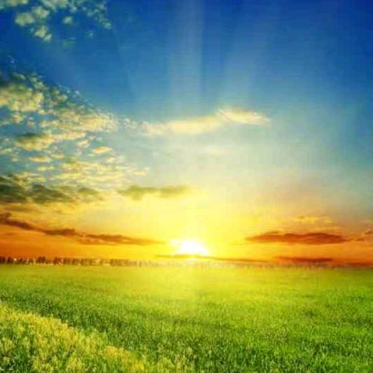 温暖阳光☀