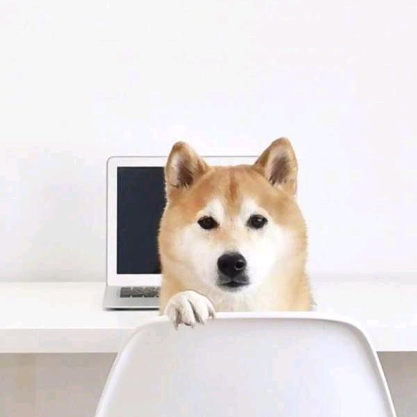 哈哈哈还好还好