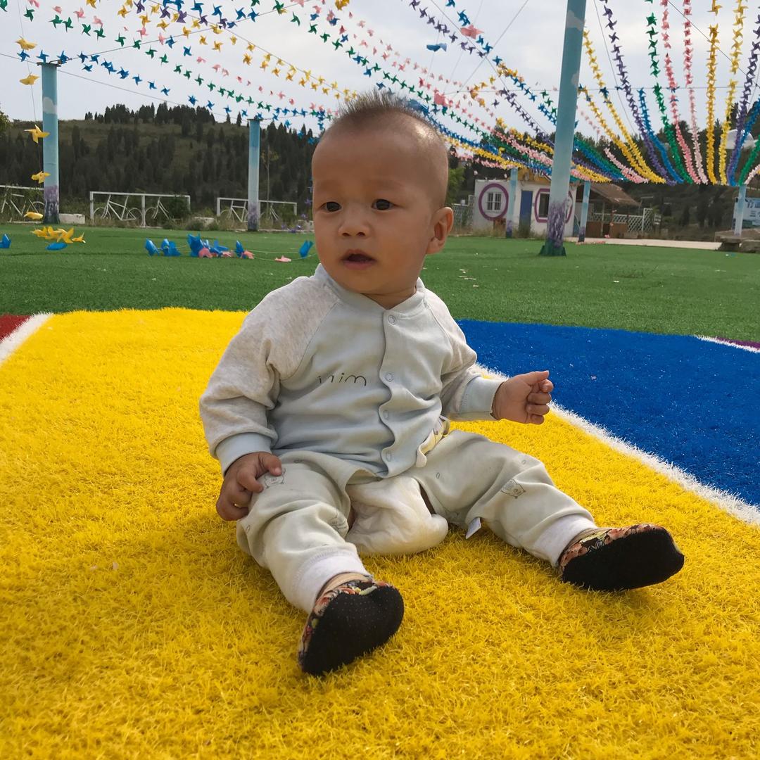 泽泽