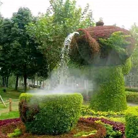 安康富硒茶叶批发