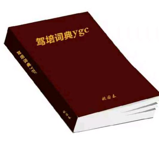 驾培词典ygc