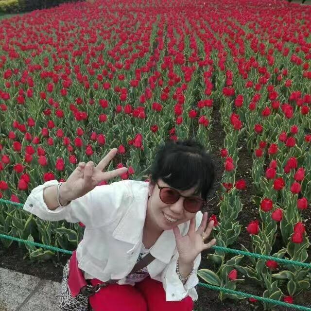 一支红梅花