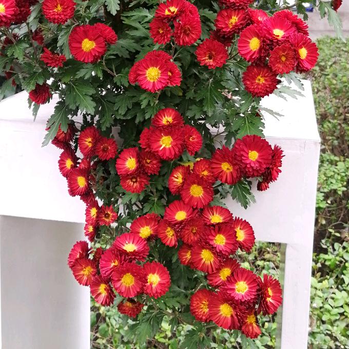 踏踏实实