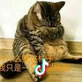 信哥