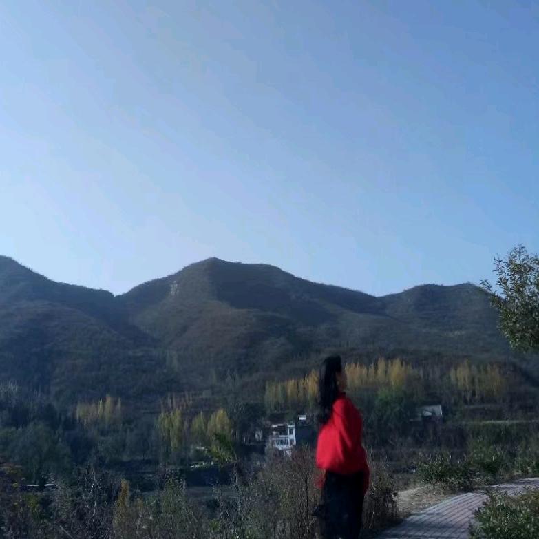 巩义万洋坚果激光电视的玲子