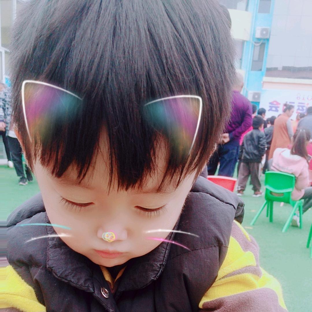 晨翔鹦鹉