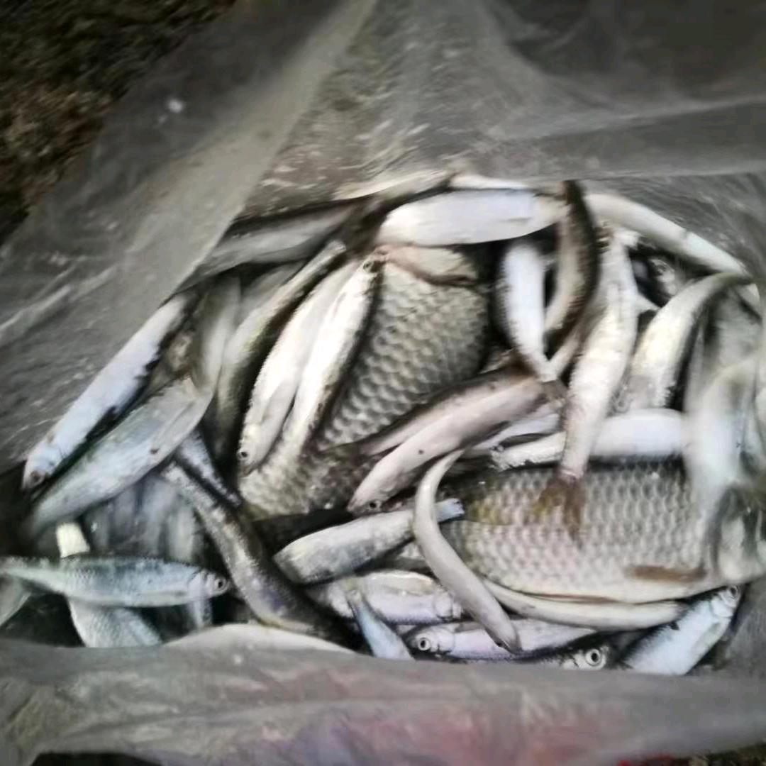 用户9323047978221