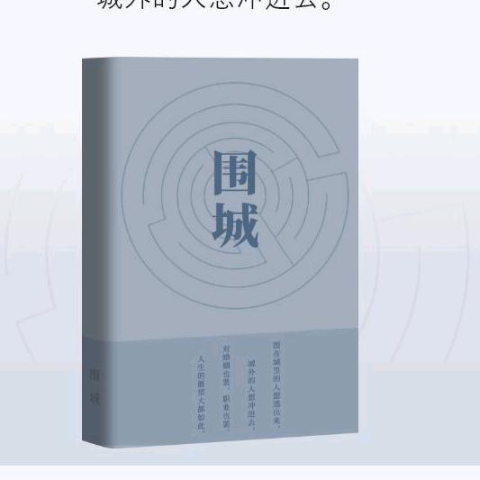 毛毛2020