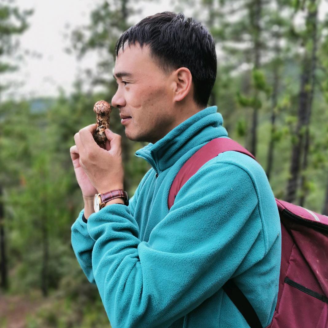 农布山珍