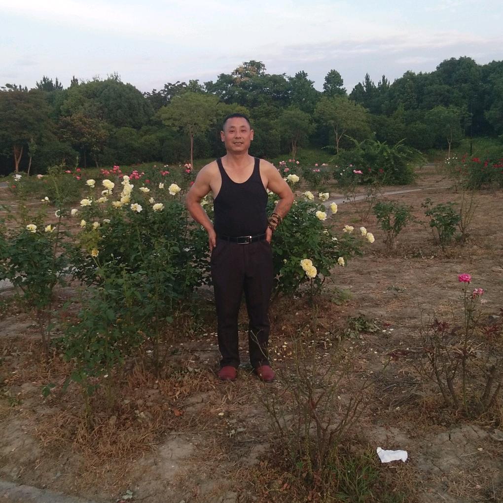 六
