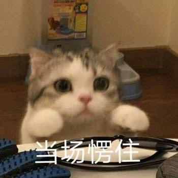 请你吃辣条