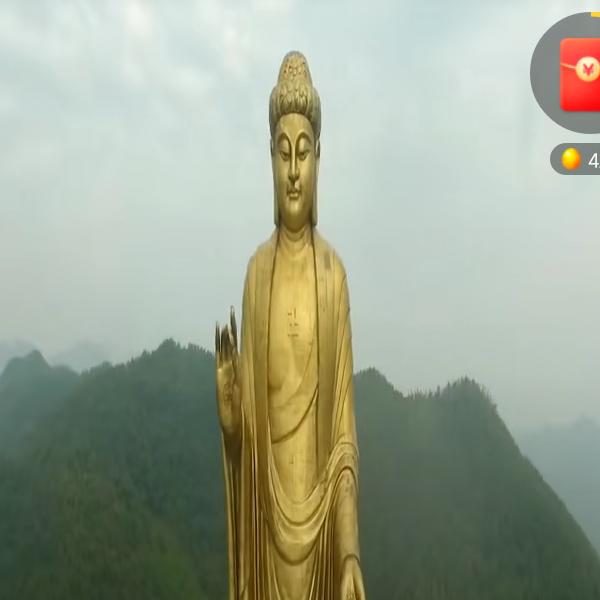 鑫鑫水果店1