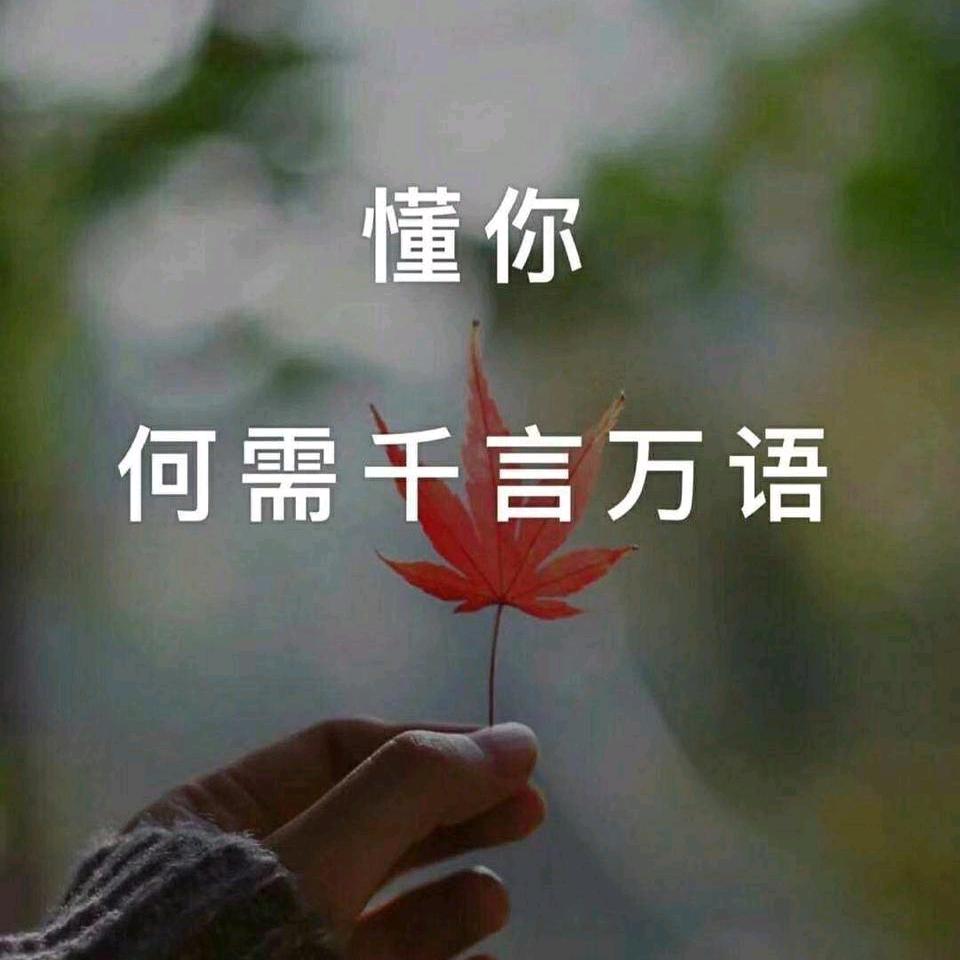 那一抹暖阳☀