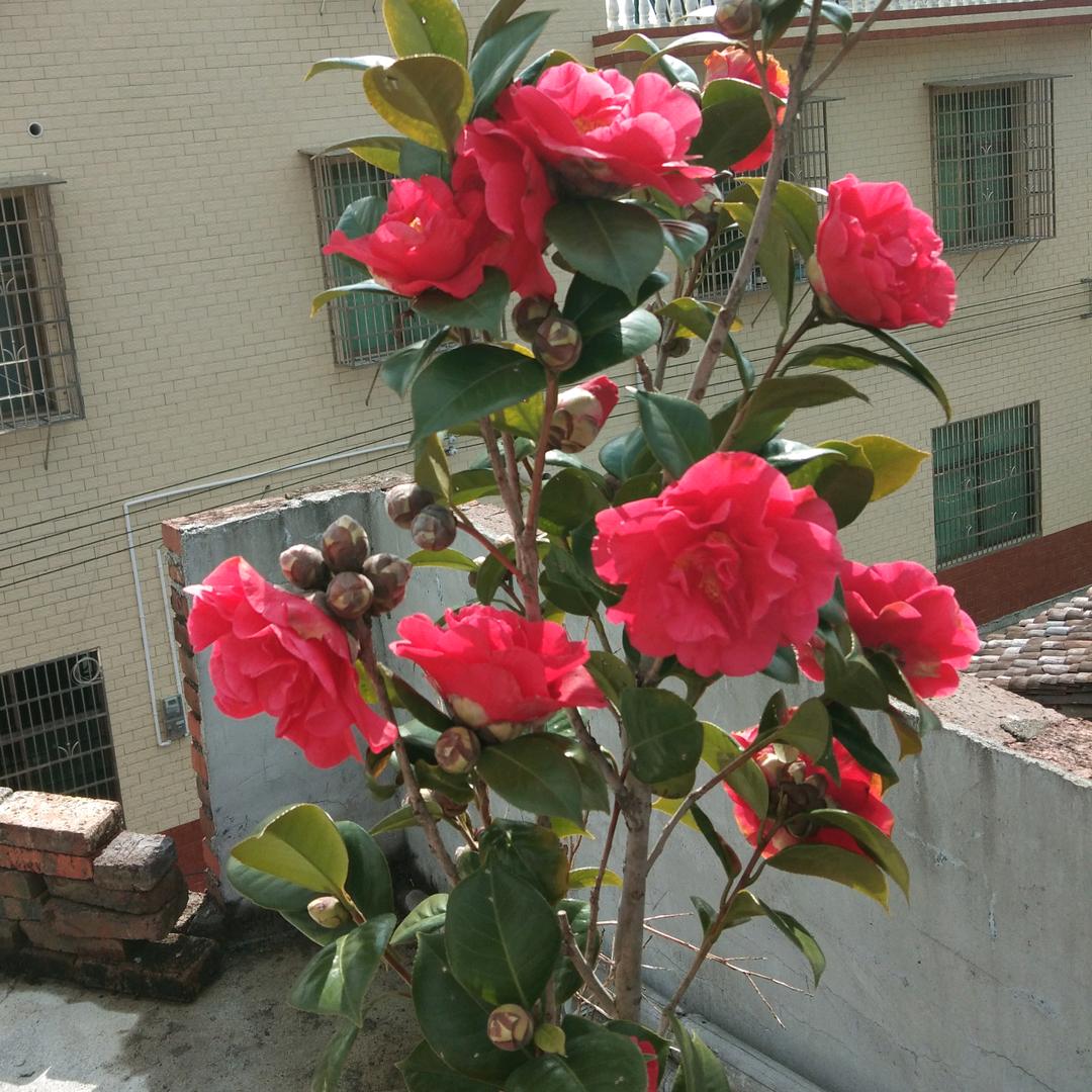 🥀₅²⁰💃顺心顺意🦹¹ᶟ₁₄