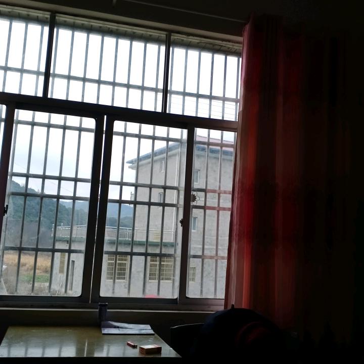 单歌