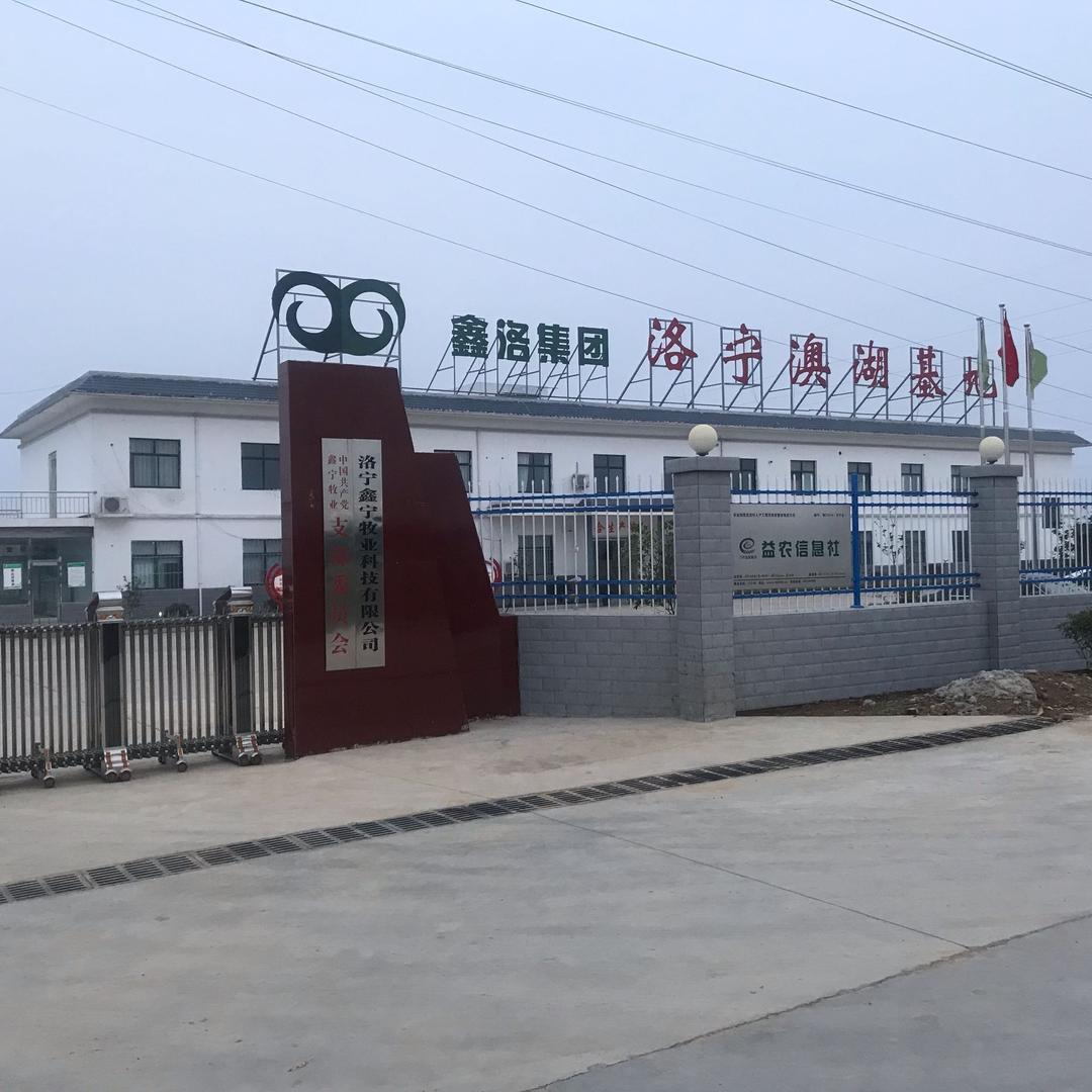 鑫宁牧业
