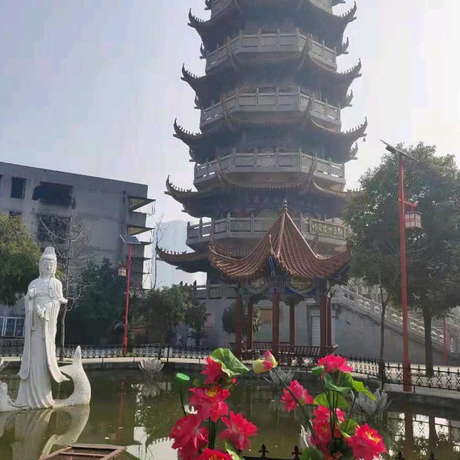 逝去的青春。