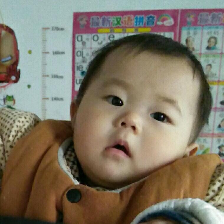 羊驼驼