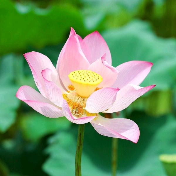 蓝天