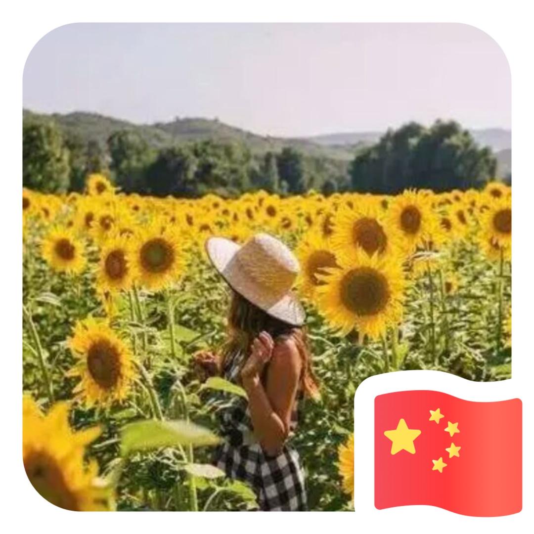 向日葵的幸福是阳光