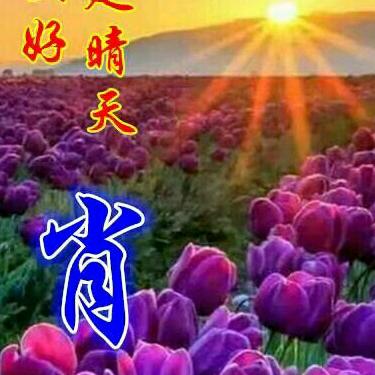 肖祥波