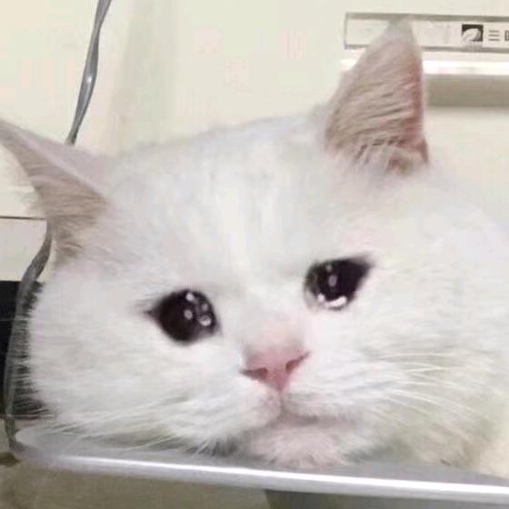 丢↗了微笑葽怎ㄠ伪裝