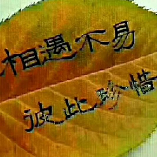 潇洒走一回