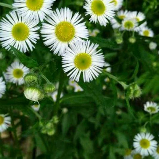 用户688595631748天南地北