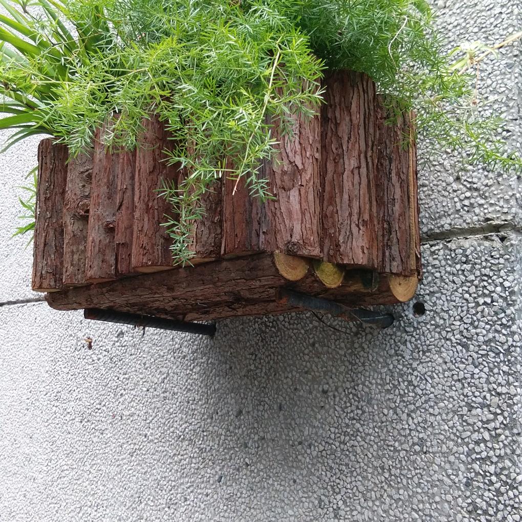山清水秀