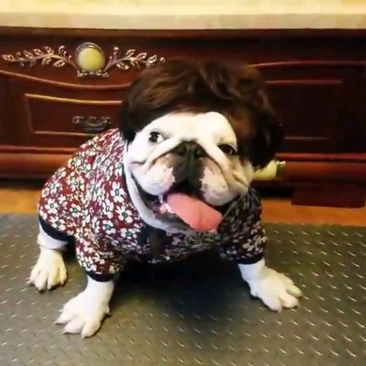 拱宸桥头看落霞