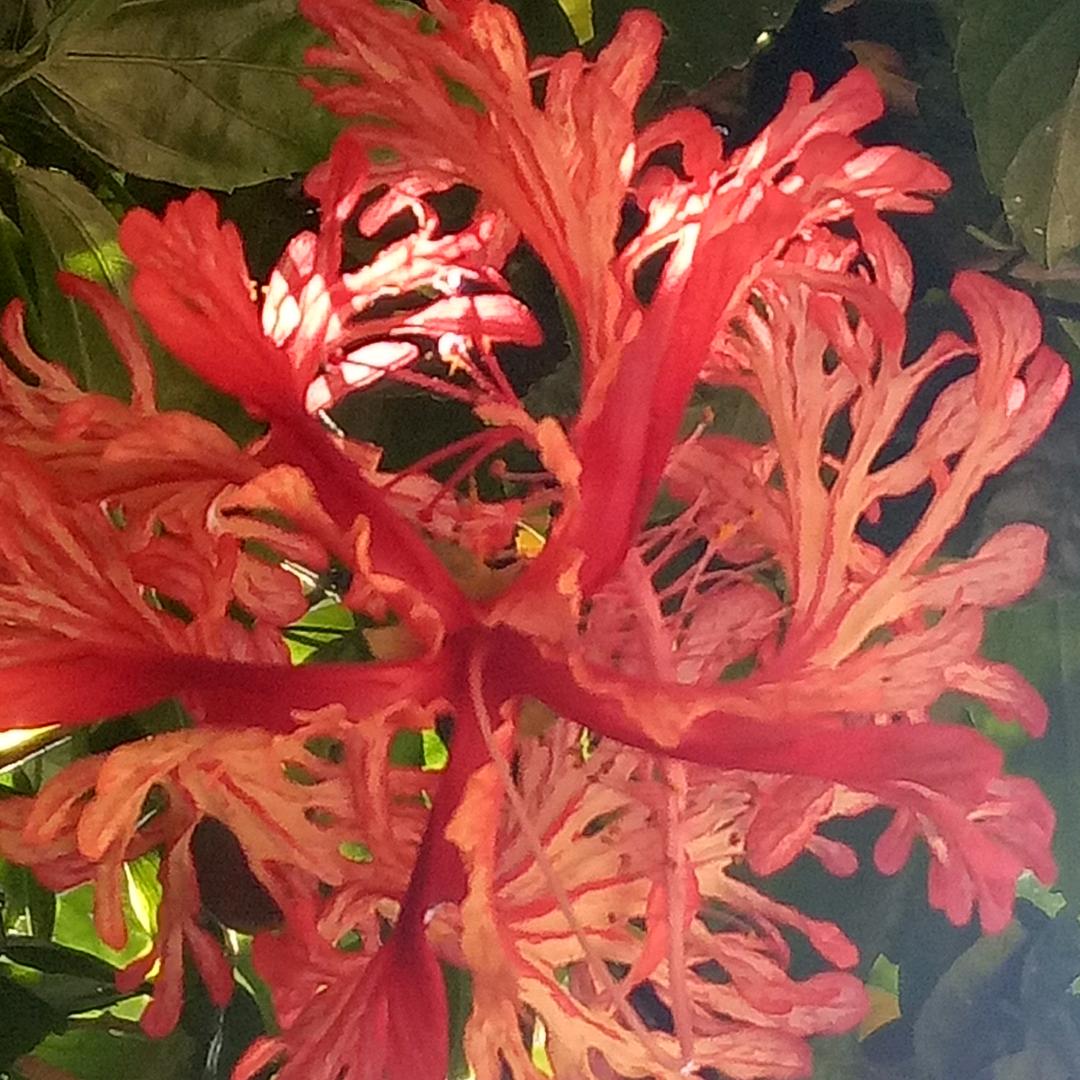 用户7760370146690小太阳👄