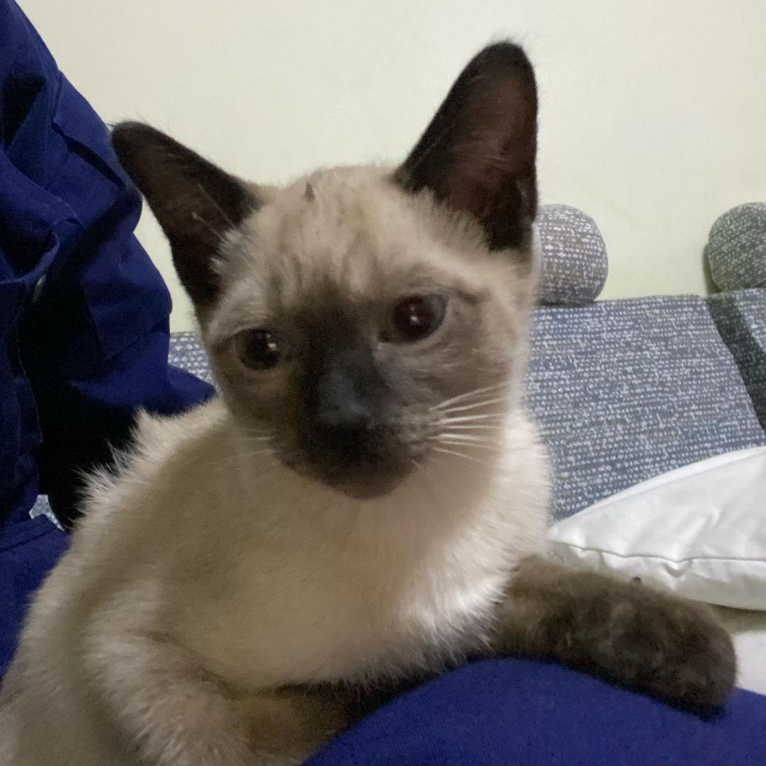 宇宙超级无敌🔥消消🔥