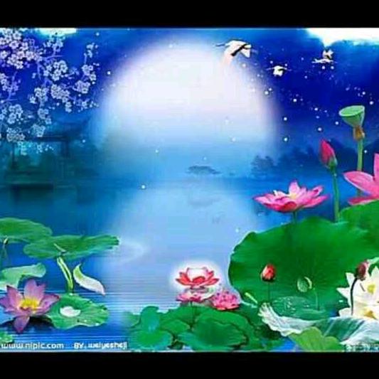 花开花落