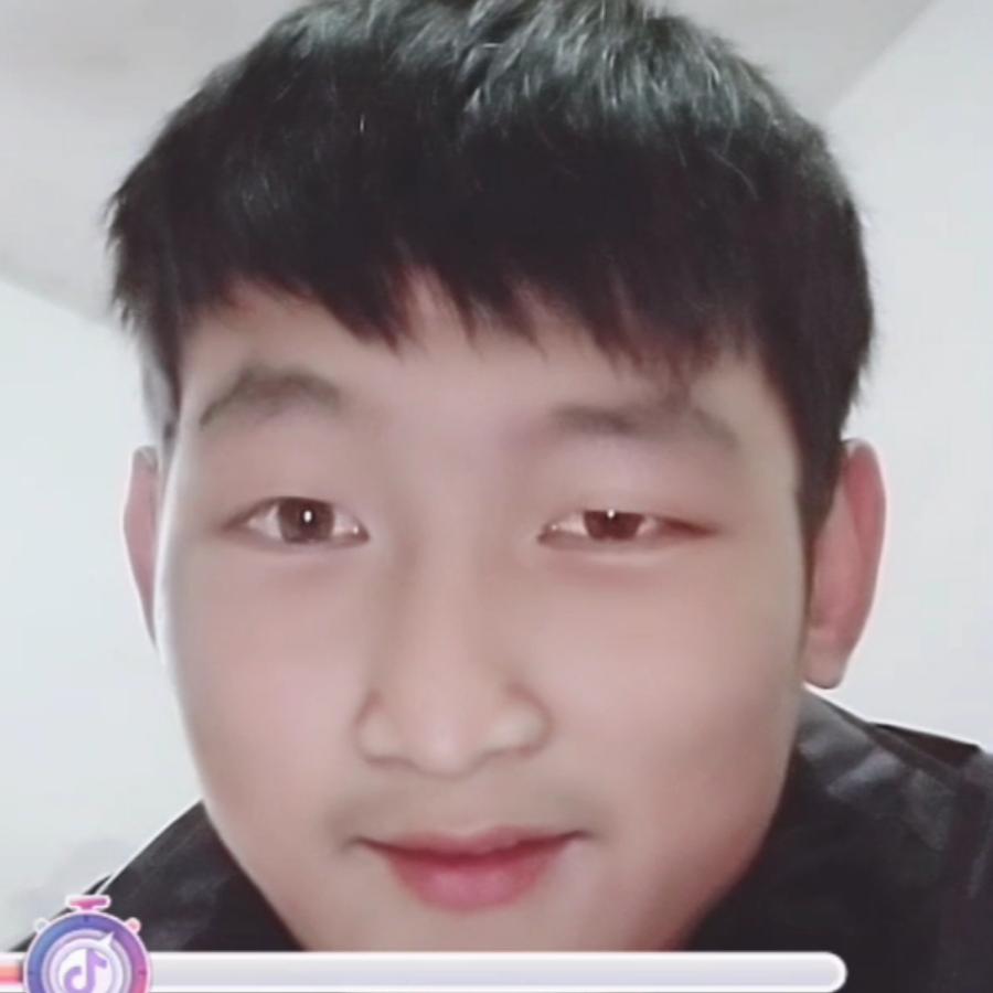 马振
