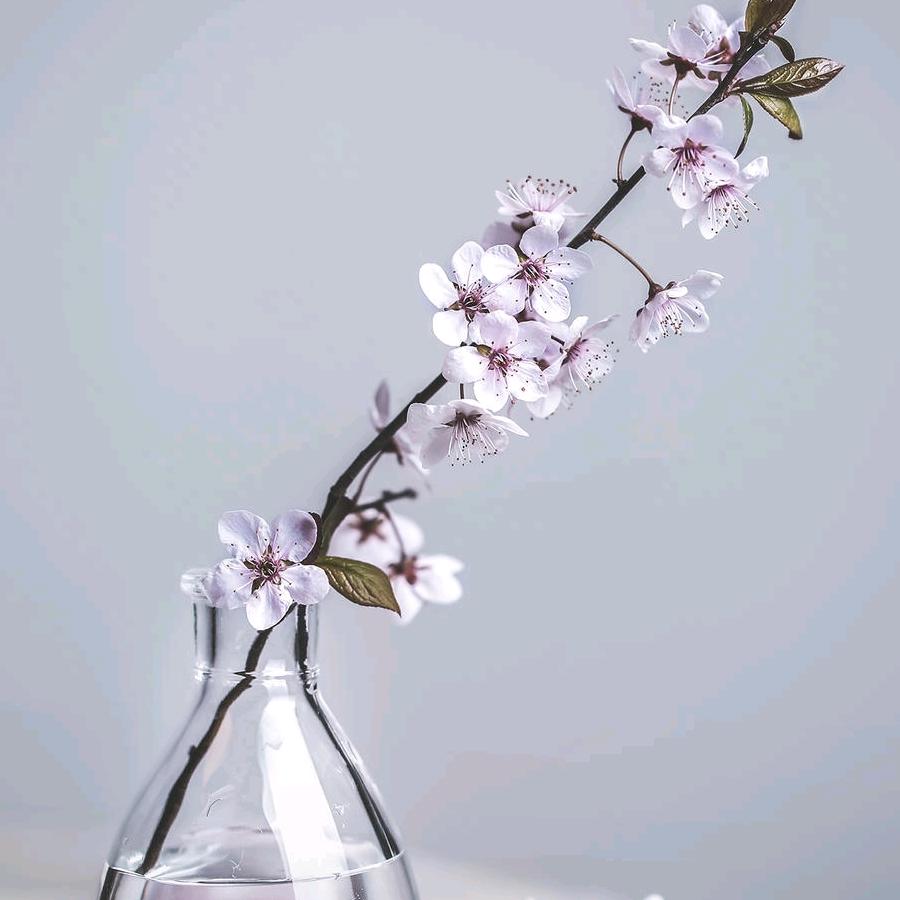 等的不是雪而是有你的季节