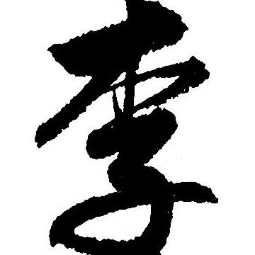 一世为你6O6