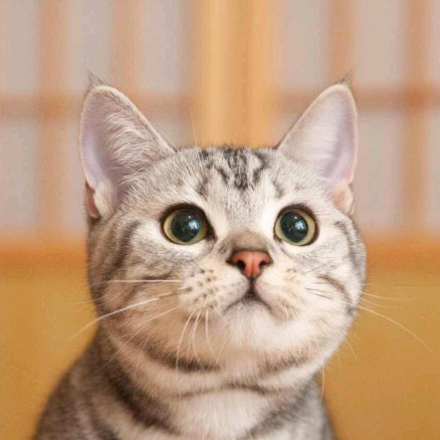 魁梧的电脑桌