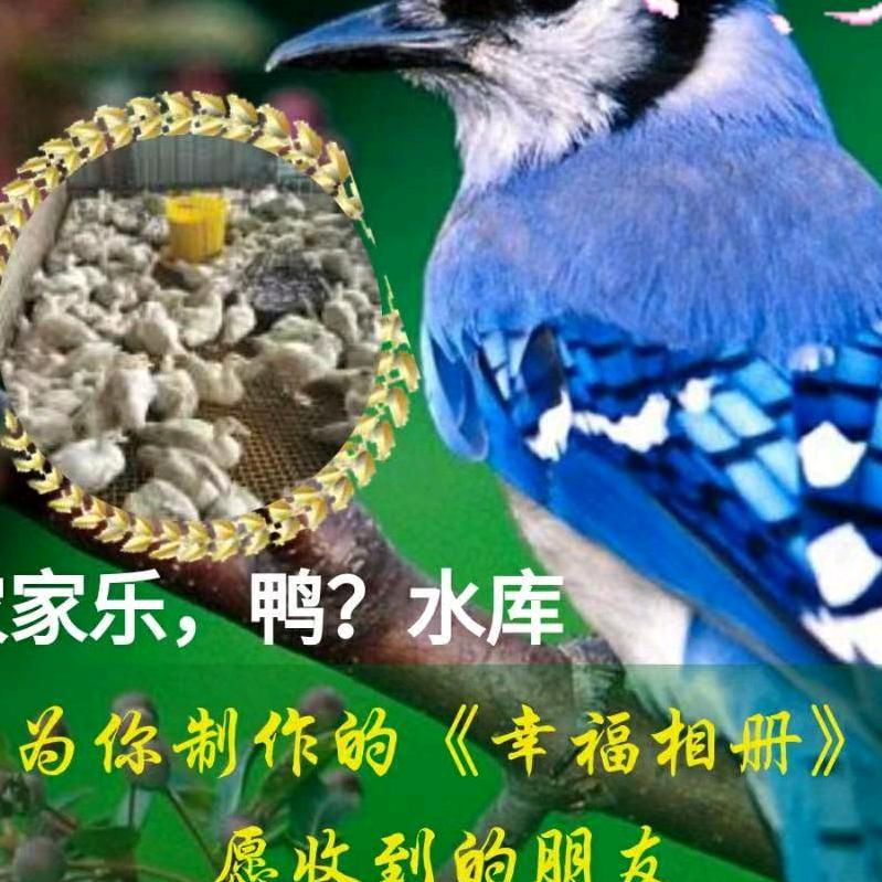 还有