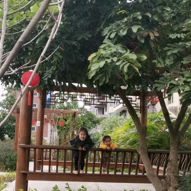 褚家三千金