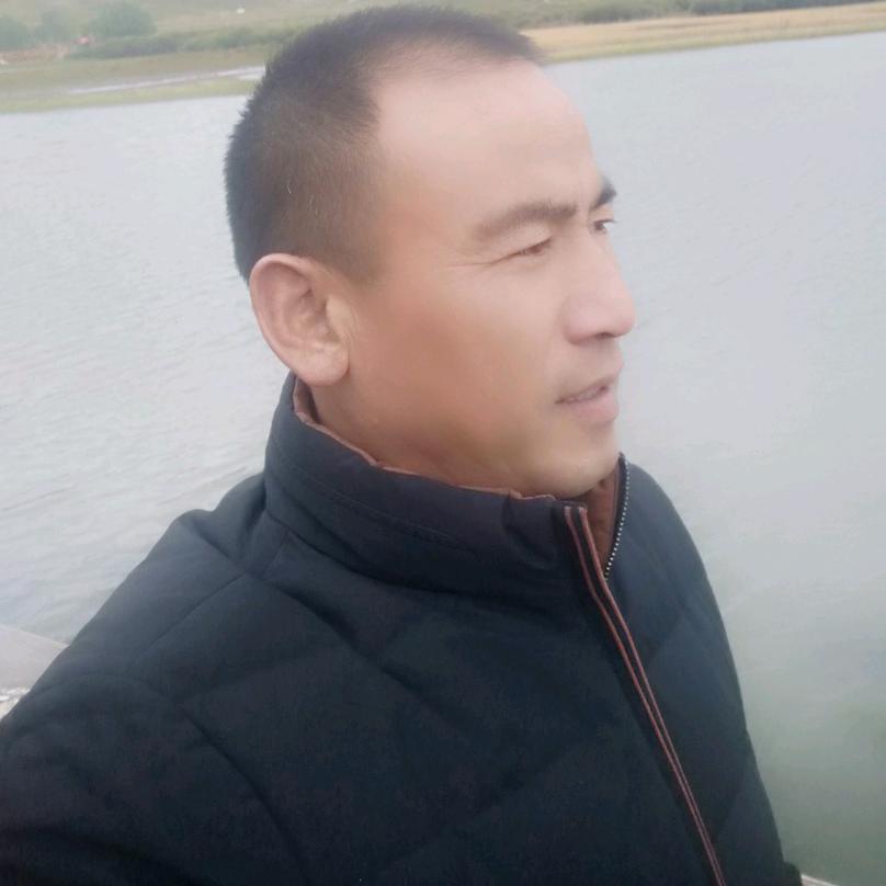 陈