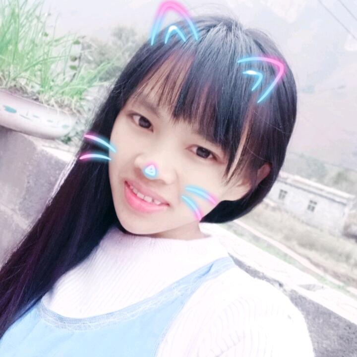 小，花，猫
