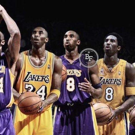 白天不睡觉的🐷