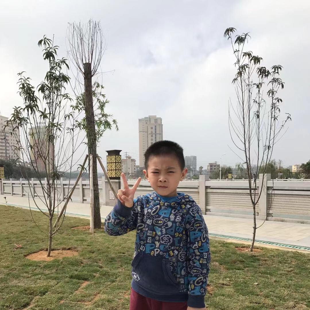 珊